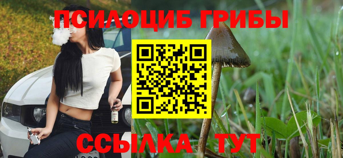 Галлюциногенные грибы мицелий Туапсе