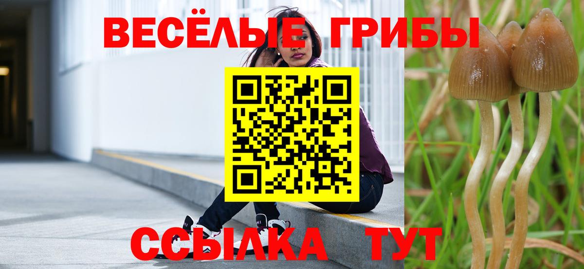 Псилоцибиновые грибы мицелий  Вход с VPN  Туапсе 